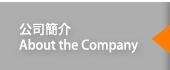 公司簡介 About the Company